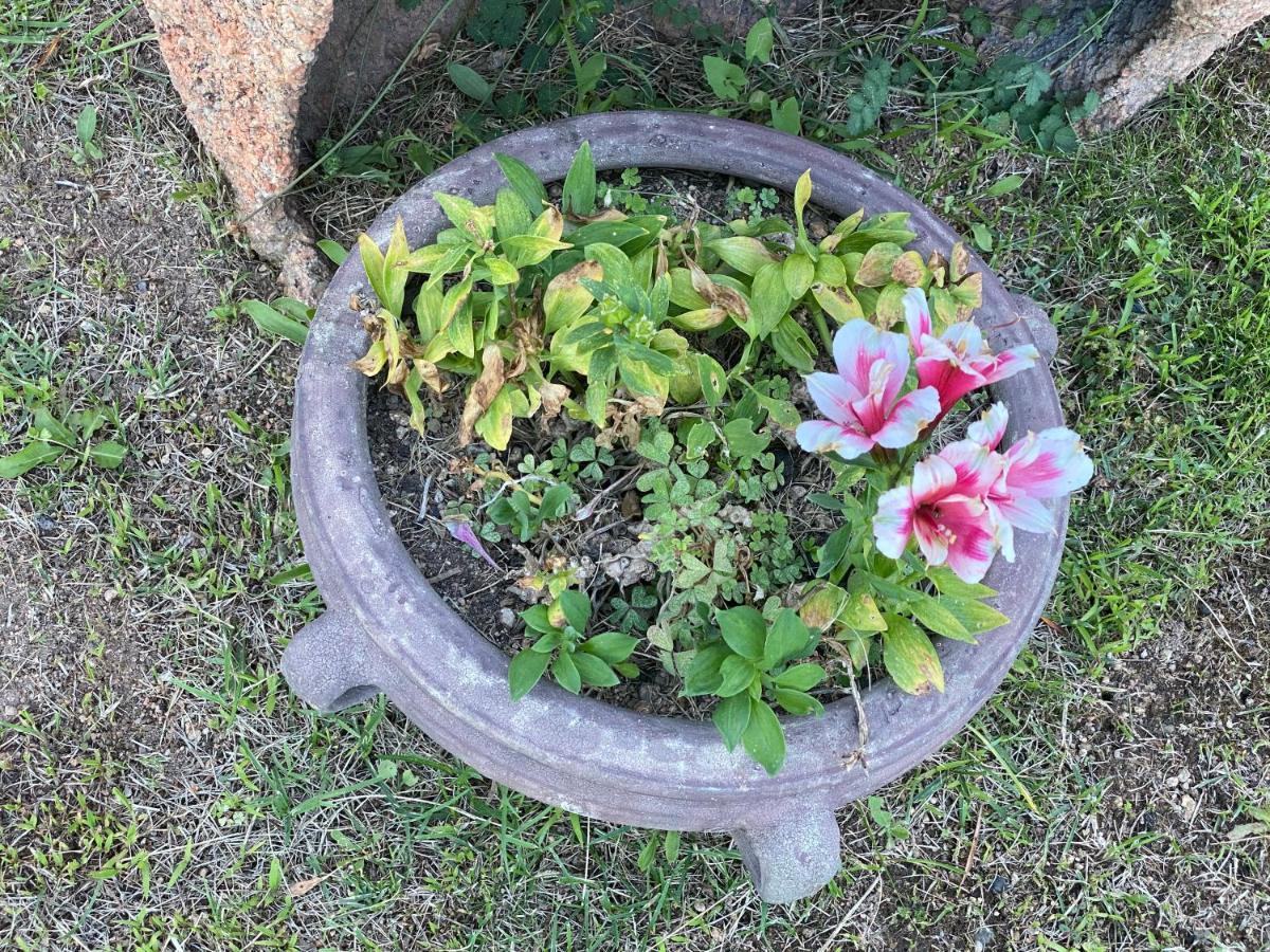 Bed And Breakfast Li Paduli Alvi กันนิโจเน ภายนอก รูปภาพ