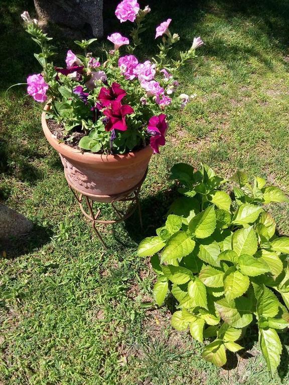 Bed And Breakfast Li Paduli Alvi กันนิโจเน ภายนอก รูปภาพ