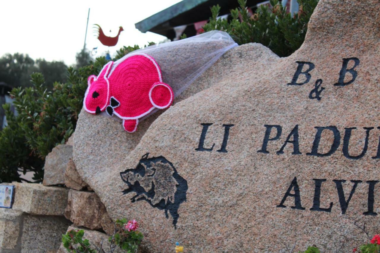 Bed And Breakfast Li Paduli Alvi กันนิโจเน ภายนอก รูปภาพ